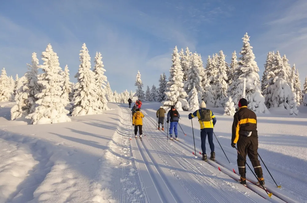 Les activités hivernales en France à ne pas manquer !