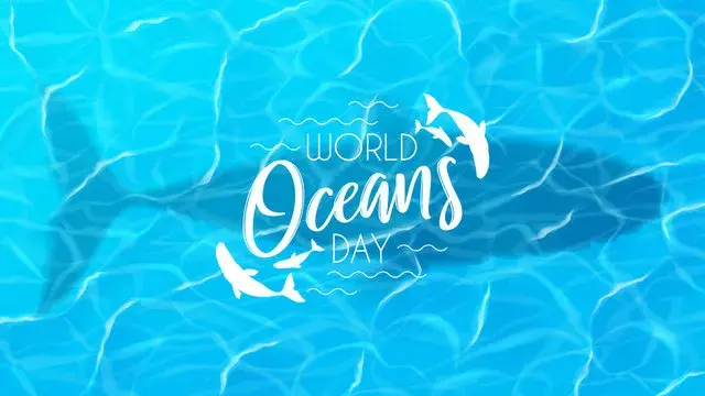 World Oceans Day 2025: Let Kiro Travel take you there with our alternative Taxi service