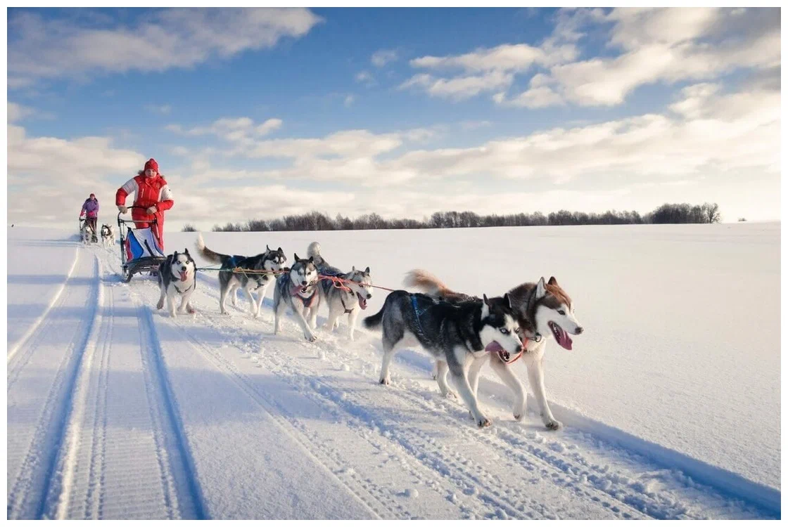Les activités hivernales en France à ne pas manquer !